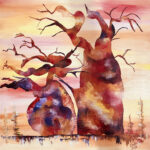 Baobabs amoureux